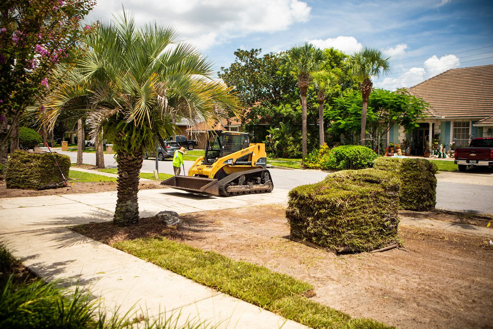 What's the Best Sod for Orlando, FL? Comparing Popular Grass Types